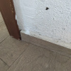 https://cdn.worldota.net/t/100x100/hotel_review/48/16/4816b8c9910e6aa3a43ab2d23ddfcc7947bc7429.JPEG