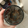 https://cdn.worldota.net/t/100x100/hotel_review/48/d3/48d335469e417949b62d3e9e08c07aef948a6014.JPEG