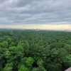 https://cdn.worldota.net/t/100x100/hotel_review/49/00/490048d363426ba01f5a2ff01ea6e089bea4bc53.JPEG