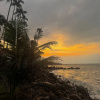 https://cdn.worldota.net/t/{size}/hotel_review/49/8f/498f44d271bc682c4f193295900553be99ca2349.JPEG