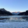 https://cdn.worldota.net/t/100x100/hotel_review/49/91/49915860bf571ce187b56b2af6aafdebfb724afd.JPEG