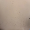 https://cdn.worldota.net/t/100x100/hotel_review/4a/0e/4a0ea94d59954de6d4fb44c841d3803c610f433a.JPEG