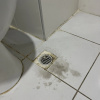 https://cdn.worldota.net/t/{size}/hotel_review/4a/52/4a529bbd44495244f810b7d59824d301194b6ae9.JPEG