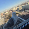 https://cdn.worldota.net/t/100x100/hotel_review/4a/a6/4aa638302089a966a7f0b4938255dbbe2aaff240.JPEG