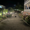 https://cdn.worldota.net/t/100x100/hotel_review/4a/ed/4aed9ce950a68d106cc25ebe35eb0c9d2b0ad7fd.JPEG