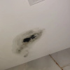https://cdn.worldota.net/t/{size}/hotel_review/4b/d9/4bd9a2a527b0b011fa9cad5107bb6178a84e83b5.JPEG