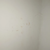 https://cdn.worldota.net/t/100x100/hotel_review/4d/22/4d2229f6d95f4817b3ddfab2fce41be9a74695f9.JPEG
