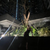 https://cdn.worldota.net/t/100x100/hotel_review/4d/5b/4d5bbbc64879396de8597369dde89b8da610a358.JPEG
