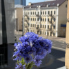 https://cdn.worldota.net/t/100x100/hotel_review/4d/65/4d6551e8282783d07e3bce2ec02bf332b36ba405.JPEG