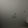 https://cdn.worldota.net/t/100x100/hotel_review/4e/4b/4e4b0f776fb186bf6b8d590f686165e4415c75c7.JPEG