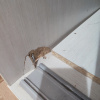 https://cdn.worldota.net/t/100x100/hotel_review/4f/52/4f520b564aea89c0bd3f2f208b70add86c626f92.JPEG