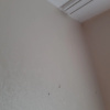 https://cdn.worldota.net/t/100x100/hotel_review/50/34/50345128770d385ed64f1af581de92fae01bcf20.JPEG