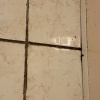 https://cdn.worldota.net/t/100x100/hotel_review/50/80/50805d73cbb0aea992d85758eed5258941042744.JPEG