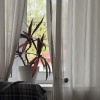 https://cdn.worldota.net/t/100x100/hotel_review/51/37/5137a1e8ba8ba85c7ef6a88a725bf73f000ea170.JPEG