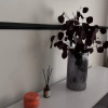 https://cdn.worldota.net/t/100x100/hotel_review/51/6e/516e8cce7156dbd77e969065419b46284263863f.JPEG
