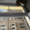 https://cdn.worldota.net/t/{size}/hotel_review/53/08/5308c547636ce238a5d739c1bce7b4595efa1b7e.JPEG