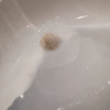 https://cdn.worldota.net/t/100x100/hotel_review/54/f5/54f59c442065b192971c0076dbfa84f3b3be8df3.JPEG