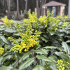 https://cdn.worldota.net/t/100x100/hotel_review/55/c3/55c38b22f50c05511f4b029b1278ba2151bc6cc0.JPEG