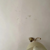 https://cdn.worldota.net/t/100x100/hotel_review/55/f9/55f98dc076bb95c63aa3ffbbb4bc638fec22434b.JPEG