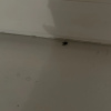 https://cdn.worldota.net/t/100x100/hotel_review/56/5a/565af1d32f1ef45cc3a61eff1c1a7635827aeed3.JPEG