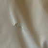 https://cdn.worldota.net/t/{size}/hotel_review/56/75/5675ce2c81ba06464605e469ea81def286c826a7.JPEG