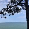 https://cdn.worldota.net/t/100x100/hotel_review/57/15/5715b8eb53da248e1404cfdd77e6e2871156f637.JPEG