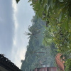 https://cdn.worldota.net/t/100x100/hotel_review/57/aa/57aafb636dfb0eb69384b78169b55625cd4ac45b.JPEG