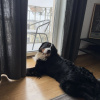 https://cdn.worldota.net/t/100x100/hotel_review/57/db/57dba74ff58a8acd18e930d7d5b46b13d05e0b65.JPEG