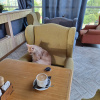 https://cdn.worldota.net/t/100x100/hotel_review/59/44/5944a9637613c0ac6895511a311eb85d88a4b145.JPEG