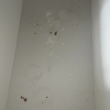https://cdn.worldota.net/t/100x100/hotel_review/59/73/5973b830941d4cebb5aa4f9702915a54e9bf3f13.JPEG