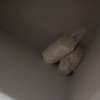 https://cdn.worldota.net/t/100x100/hotel_review/59/da/59da7a64b593844ae0291a202c72da624d179586.PNG