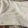 https://cdn.worldota.net/t/100x100/hotel_review/5a/bc/5abc065428dcf3f582415b502de5a420da804c52.JPEG