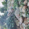 https://cdn.worldota.net/t/100x100/hotel_review/5b/78/5b78a82ee47a7b56a989ed2c7a2d8bfd64c01e11.JPEG