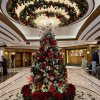 https://cdn.worldota.net/t/{size}/hotel_review/5b/e7/5be7e40af23c752ee967e71e06020ba80429532e.JPEG