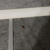 https://cdn.worldota.net/t/100x100/hotel_review/5c/66/5c66055672e53d364b9f3ed3b9f44d6aa91131b0.JPEG