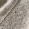 https://cdn.worldota.net/t/100x100/hotel_review/5f/40/5f40571425250cdcacaac565ef5e8fd7dffabe7f.JPEG