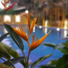 https://cdn.worldota.net/t/100x100/hotel_review/5f/6e/5f6e725386f298203dc7e2626e1d65250e2ee6da.JPEG