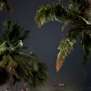 https://cdn.worldota.net/t/100x100/hotel_review/5f/71/5f71f4ae16bd49895b7853ba4071f5b4cc15e16c.JPEG
