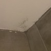 https://cdn.worldota.net/t/{size}/hotel_review/60/1b/601bdfcc6173d5761af44aa96306b6b00d0092fa.JPEG