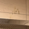 https://cdn.worldota.net/t/100x100/hotel_review/61/1e/611e3255578748e435b667af13bc2106019a27de.JPEG