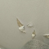 https://cdn.worldota.net/t/100x100/hotel_review/62/8d/628d96c2f70f31cb15f9c00678ad521b4acace15.JPEG