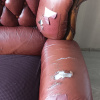 https://cdn.worldota.net/t/100x100/hotel_review/62/d0/62d0930e586ecee7ad56aaaa2059d5ff31658323.JPEG