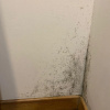 https://cdn.worldota.net/t/100x100/hotel_review/64/1e/641eecfef9b1458a75700d5bb2cb576ab11fea95.JPEG