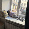 https://cdn.worldota.net/t/100x100/hotel_review/65/30/65304acb6bec9f99beb7c391bae65d7000854de6.JPEG