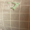 https://cdn.worldota.net/t/100x100/hotel_review/65/71/6571b498b6ad4a428d01c963feffe378e476bf9f.JPEG