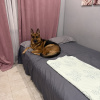 https://cdn.worldota.net/t/100x100/hotel_review/65/e5/65e5141963b9d38a8195629feb8a02725bbda224.JPEG
