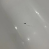 https://cdn.worldota.net/t/{size}/hotel_review/66/18/66186f3dc4984e6cbbe6e9889b05ddec62f178ec.JPEG