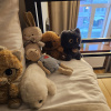 https://cdn.worldota.net/t/100x100/hotel_review/66/f8/66f85f1730ce2d4693be01beb2fa5e5bdfaa5040.JPEG