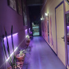 https://cdn.worldota.net/t/100x100/hotel_review/67/13/6713dbb56ffea290bd3a35930f2b555b096b5eaf.JPEG
