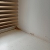 https://cdn.worldota.net/t/100x100/hotel_review/67/7d/677db420c8e498dc8bb1684b8666a68d2f920e79.JPEG